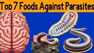 7 Foods Fight Parasites in our body [upl. by Adnawuj]