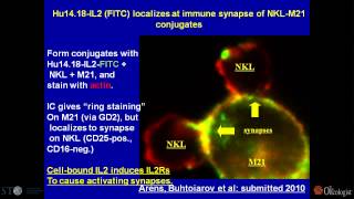 Neuroblastoma Immunotherapy [upl. by Kayla]