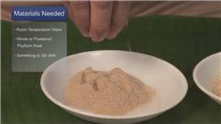 Cleansing Naturally  How to Cleanse a Colon with Psyllium Husk [upl. by Roselia410]