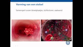 Hemostase deel 1 Inleiding  Prof dr REG Schutgens [upl. by Maudie]