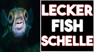 Der gesalzene Butterfisch  Fizz Gameplay [upl. by Karyn]