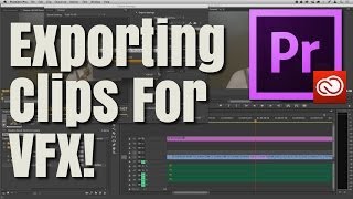 How To Export Clips Out Of Premiere Pro CC VFX Colorist  Perfect Post Production [upl. by Lenroc]