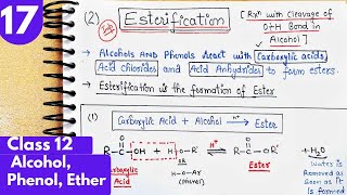 17 Esterification reaction of alcohol phenols Ester from carboxylic Acid and derivatives class12 [upl. by Bashuk378]