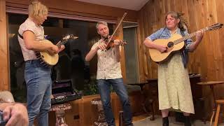 Dorrigo Tall Poppy Stringband House Concert [upl. by Tadio923]