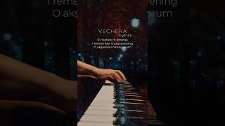 VECHERA Lyrics [upl. by Aguste747]