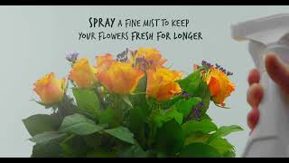 FloraLife® Finishing Touch Product Video [upl. by Deanne]