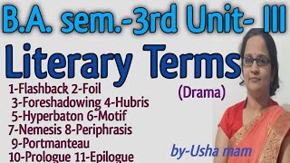 Types of Literary Termsl BA 3rd Semester by Usha Mam [upl. by Nedle]