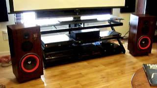 CerwinVega RE25 Main  Stereo Speakers [upl. by Ecinaej]