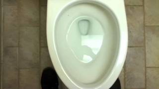 Bathroom Tour Comfort Inn American Standard Toilet and Urinal with Toto Toilet [upl. by Everrs804]