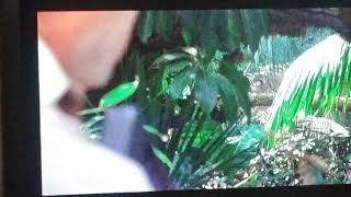 Jurassic Park 1993  Clever Girl Scene [upl. by Annaeoj4]