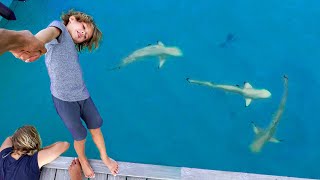 TRUST FALL with SHARKS in the Maldives  Manillas 7 yr old Birthday [upl. by Berk]