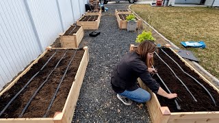 Setting Up a Complete Drip System for Raised Beds from a Hose Faucet 💦🌿  Garden Answer [upl. by Avehstab]