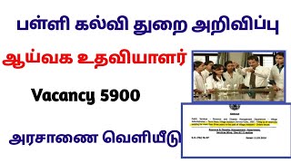 D66 Lab Assistant Recruitment 2024 10th Pass No Exam No Fees TN Government Jobs 2024 [upl. by Nessy]