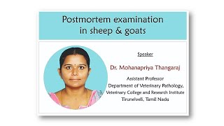 Postmortem Examination in Sheep amp Goats Sheepfarming Goatfarming Sathyazerograzing [upl. by Natsirt598]