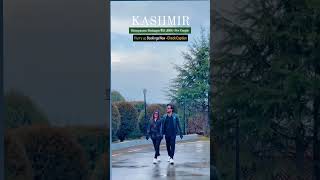 Kashmir Honeymoon Package  More Details 916005716450 [upl. by Leisam]