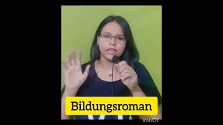 bildungsroman meaning and example englisliterature terminologyshortvideo radhikatripathi5396 [upl. by Remas421]