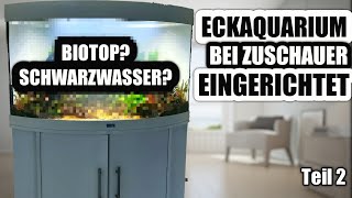 Eckaquarium als Schwarzwasser Biotop bei Zuschauer eingerichtet [upl. by Reteid]