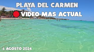 PLAYA DEL CARMEN HOY PLAYAS HERMOSAS  SIN SARGAZO ACTUALIZACION 6 AGOSTO 2024 [upl. by Roselia175]