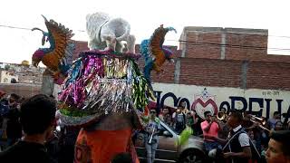 Toritos de petate 2019 El desconocido de la independencia [upl. by Niawtna]