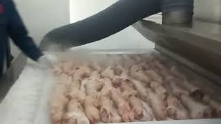 Liquid Nitrogen Industrial Meat Freezer [upl. by Nas]