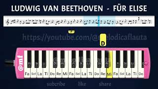 MELODICA COVER TUTORIAL LUDWIG VAN BEETHOVEN FÜR ELISE [upl. by Redd459]