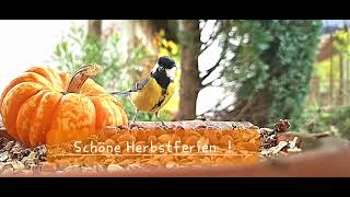 Schöne Herbstferien [upl. by Clementine]