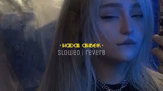 hadal ahbek  slowed reverb  for best experience 🎧 [upl. by Milt]