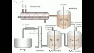 Process of Fermentation [upl. by Flss278]