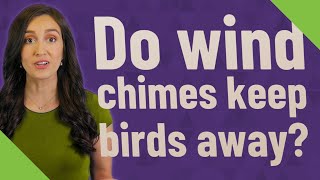 Do wind chimes keep birds away [upl. by Doelling438]