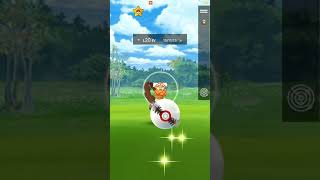 Pokemon GO  Shiny Landorus  Pokemon GO Indonesia short shorts [upl. by Baram321]