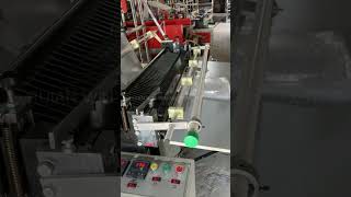 HighSpeed DoubleLine Cold Cutting Bag Making Machine  Efficient and Precise Bag Production [upl. by Rita]