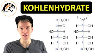 KOHLENHYDRATE EinfachMehrfachzucker – Übersicht  Biochemie [upl. by Abner]