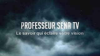 TV SAT PROFESSEUR SENA [upl. by Anialahs]