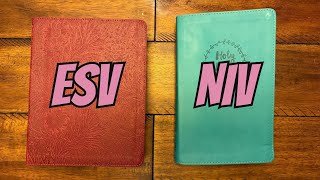 ESV vs NIV Bible Which is Better [upl. by Man]