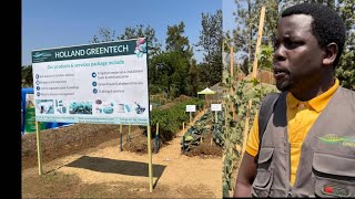 SOBANUKIRWA SERIVISI ZUBUHINZI ZITANGWA NA COMPANY quotHOLLAND GREENTECH HGT YABAHOLANDI MU RWANDA [upl. by Llyrehc976]