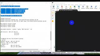 Primary DNS Server Configuration [upl. by Teahan]
