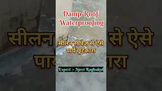 सीलन सीपेज को रोकने का उपाय  damp roof waterproofing  leakage solution  seelan seepage prevention [upl. by Crim]