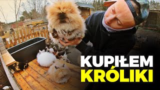 🐰 KUPIŁEM KRÓLIKI 🐰 karzełki TEDDY  MOJE MINI ZOO  odc 314 [upl. by Yenot123]