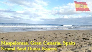 Maspalomas  Sand Dunes  Gran Canaria  Spain  Nature Reserve  Beach  Tourist Attraction [upl. by Aidualk317]