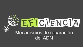 MECANISMOS DE REPARACIÓN DEL ADN Directa de Bases Por Escisión SOS Por Recombinación [upl. by Sinoda33]