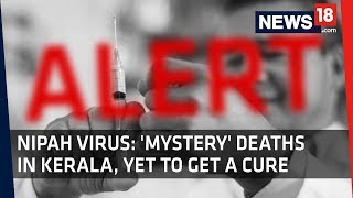 Nipah Virus  Mystery Deaths in Kerala  The How and Why of the Nipah Virus [upl. by Yud]