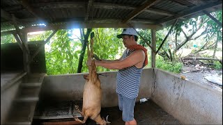 FAST GOAT CUTTING SKILLS AND COOKING PAPAITAN AND CALDERETA CHEF ALEX [upl. by Cotterell]