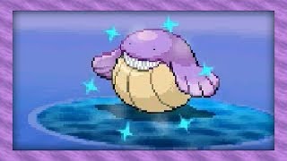 Live Shiny Wailmer After 2120 Rippling Water Encounters Pokémon White 2 [upl. by Aticnemrac]