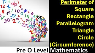 Perimeter of Circle Square Rectangle Parallelogram and Triangle [upl. by Liamaj]