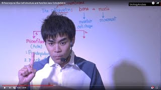 ชีววิทยาครูบาส เรื่อง Cell structure and function ตอน Cytoskeleton [upl. by Wurst]