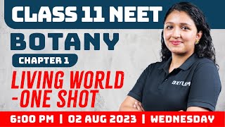 ONE SHOT  Class 11  Chapter 1 Living World for NEET Botany  Xylem NEET Tamil [upl. by Tnattirb175]