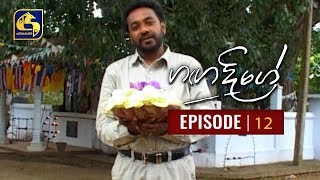 Ganga Dige  ගඟ දිගේ with Jackson Anthony  Episode 12 [upl. by Lissie]