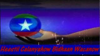 HEES WADANI CALANYAHOW BIDHAAN WACANOW PATROOL IYO HIBAAQ 2012 [upl. by Metzgar765]