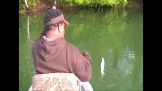 Twin Troller Fishing for Crappie amp Gills with Mini Mites [upl. by Nnaharas]