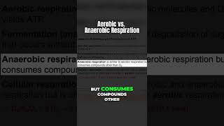 Aerobic vs Anaerobic Respiration Explained letsgobio [upl. by Oglesby]